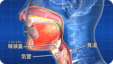 摂食嚥下の5期モデルの口腔期。食塊を口から咽頭に運ぶ。